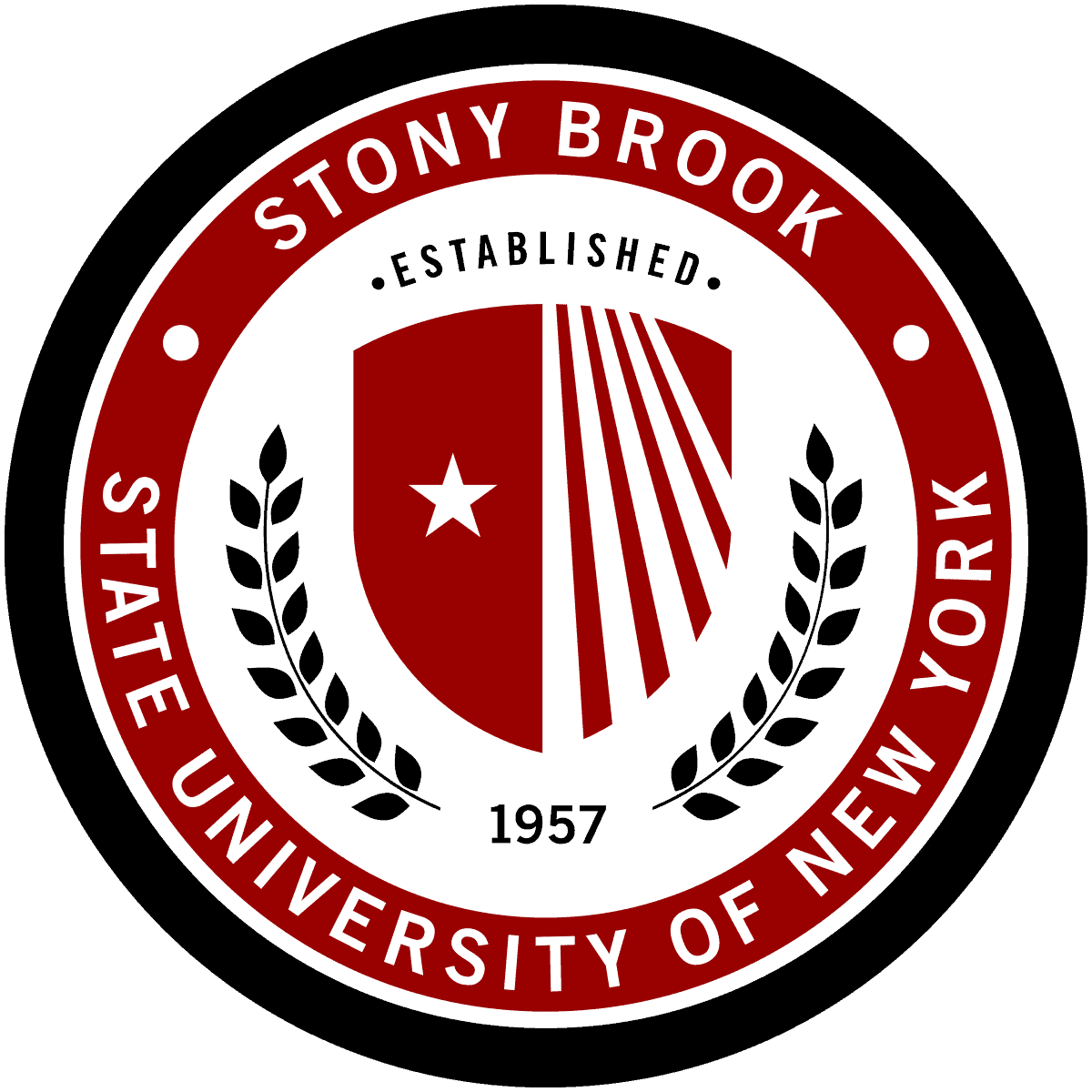 Stony Brook University ICAS